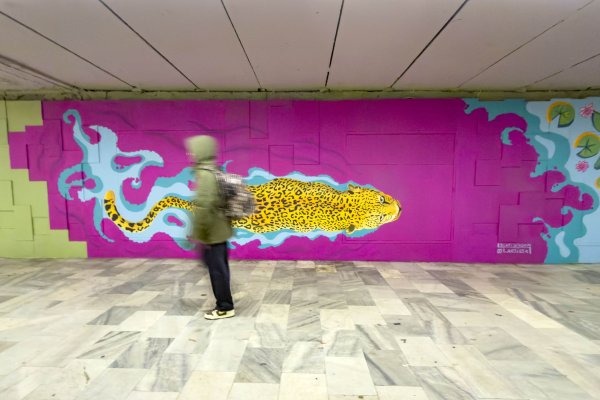 Димитър Кьосемарлиев, Dnes.bg